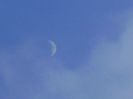 Luna noua in Leu