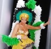 andreea-banica-e-queen-of-samba-in-noul-videoclip