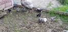 20190609_145455(0)