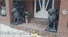 Image00438