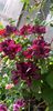 IMG-20190612-WA0015