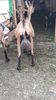 20190517_192619(0)