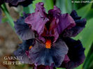 Garnet Slippers 15 lei