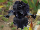 Ghost train-terminat