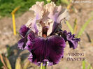 Viking Dancer-terminat