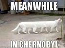 Chernobyl 2019