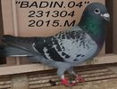 2015.231304.BBAdin