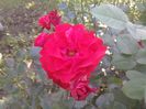 20190614_182546(0)