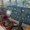 Setiechinopsis mirabilis