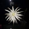 Setiechinopsis mirabilis