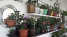 IMG-20190621-WA0002