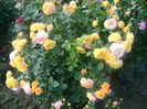 Gartenspass