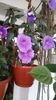 IMG-20190623-WA0004
