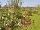 Sissinghurst Castle