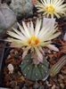 IMG-20190624-WA0014