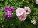 Rose Marie Viaud si Kir Royal