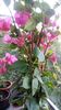 IMG-20190628-WA0004