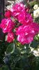 IMG-20190628-WA0018