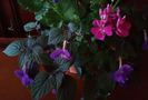 20190629_195950-1