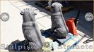 Image00489