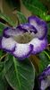 thumbnail - 2019-06-29T082436.571