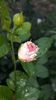 received_288010052005718