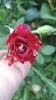 received_1051586438380646