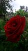 received_2284687691781736