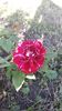 received_309152203372898
