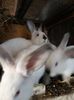 20190703_163224(0)