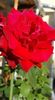 received_2152983625001292