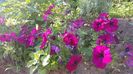 received_458338464967106