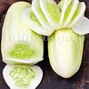 Seminte castravete White Wonder 100buc.