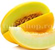 Seminte pepene galben Jaune Canari 2 100buc.