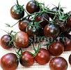 Seminte tomate Black Cherry 200buc.