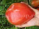 Seminte tomate Inima de Bou 100buc.