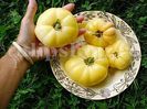 Seminte tomate White Beauty 200buc.