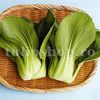 Seminte varza Pak Choi 500buc.