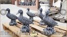 Image00495