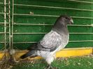 01B19AED-B8CC-40DA-BD04-0E1833D2511D