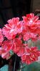 20190717_204212(0)