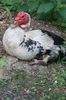 IMG-20190720-WA0102