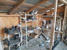 IMG-20190727-WA0018