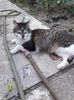 IMG-20190716-WA0001