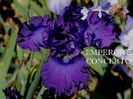 Emperor s Concerto