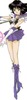 hotaru11[1]