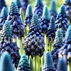 Bulbi Muscari Paradoxum