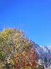 Photo0059
