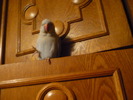 P1010194 lucky