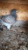 20190716_092855(0)